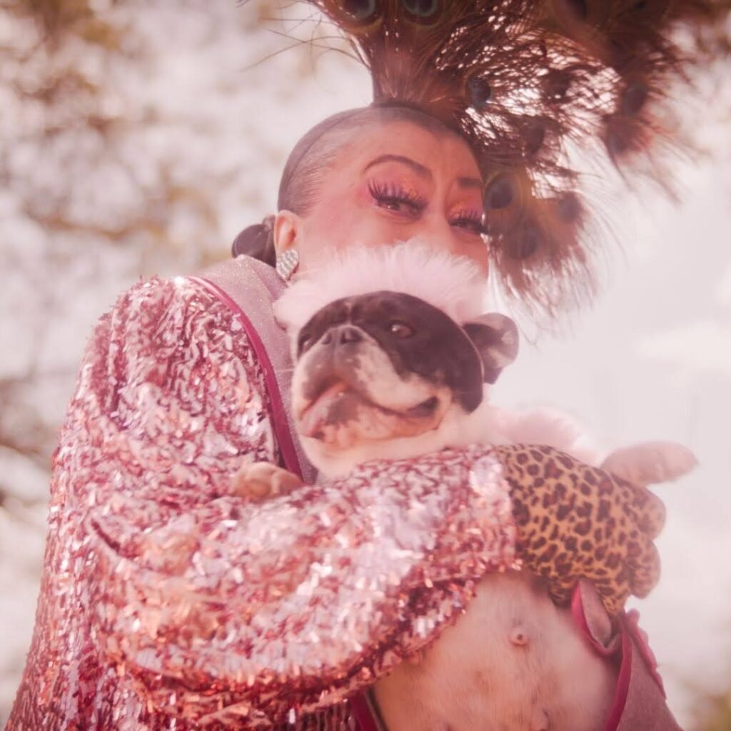 alcina-pet