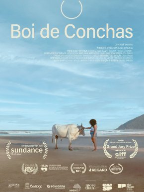 Boi de conchas
