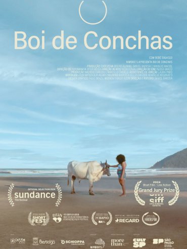 Boi de conchas