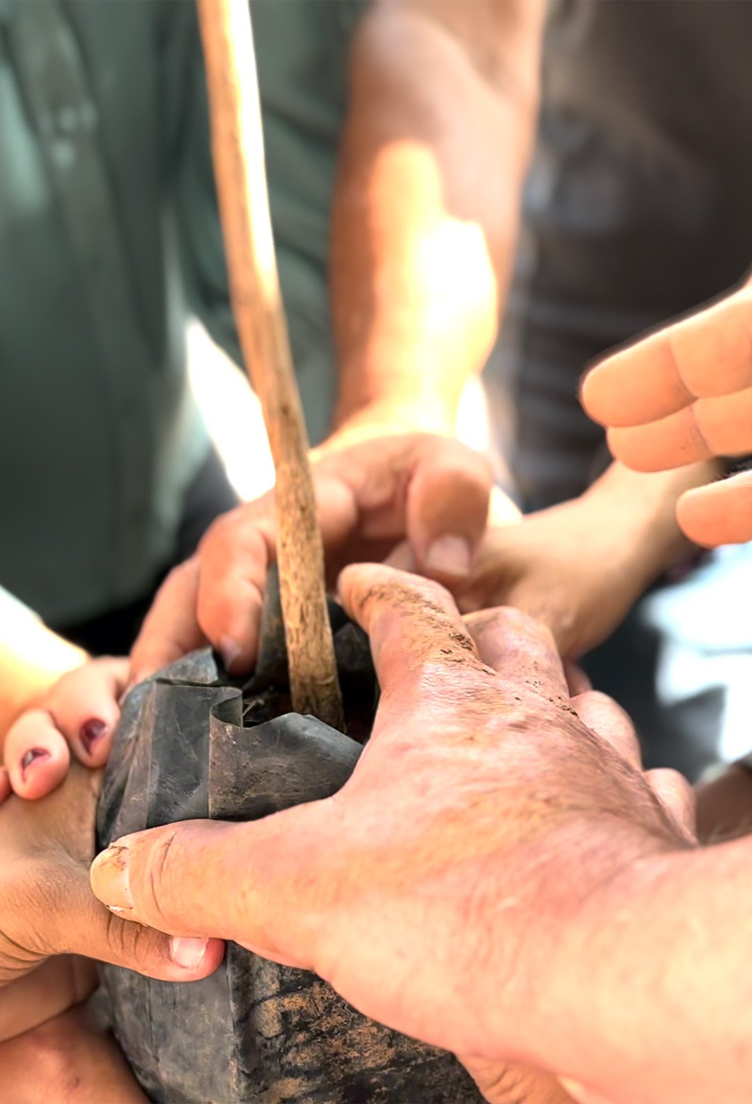 intro-documentario-oficina